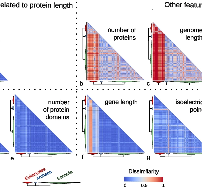 protein length distribution