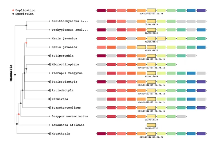 Hero image Comparative Genomics lab UNIL