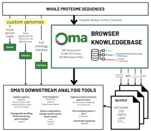 Research – Comparative Genomics Lab